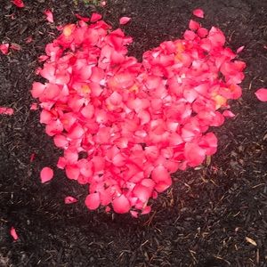 Meet your Posher, Anu